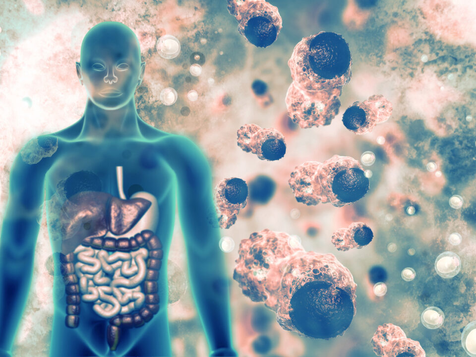 Fortify Your Defenses 7 Natural Ways to Boost Your Immune System
